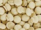 Marinated and blanched champignons from Poland - photo 1