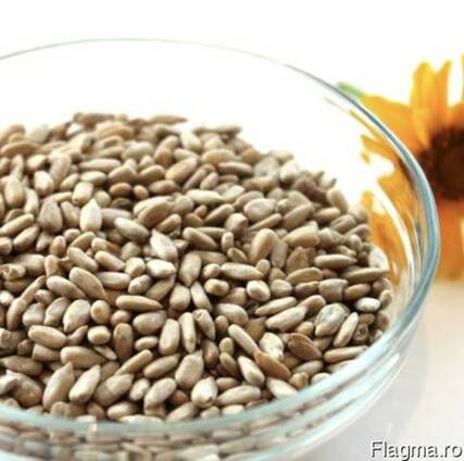 Sunflower kernel
