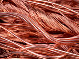 2025 New Year Factory Hot on Sale Copper Wire Scrap 99.99% Best Quality - photo 2
