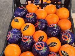 Апельсин SPIRIT