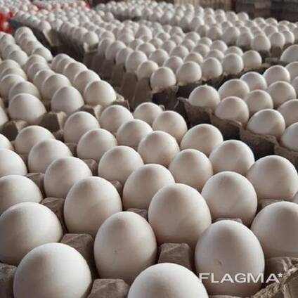Best Quality Fresh Chicken Table Eggs Brown/White Fresh Table Chicken Eggs/ Hatching eggs