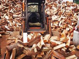 Buy Excellent Oak Firewood in Bags/ Pallets/ Dry Firewood Logs Ash Oak Beech Hardwood