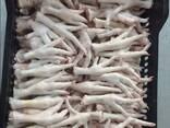 Chicken Feet and chicken paws and whole halal chicken at the best prices with prompt shipp - фото 1