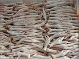 Chicken Feet and chicken paws and whole halal chicken at the best prices with prompt shipp - фото 2