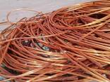 Competitive Price High-quality Copper Wire Scrap 99% Copper Content - фото 1