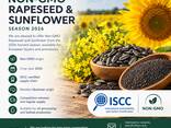 Cooperation Proposal – Supply of Ukrainian Agricultural Products - photo 1