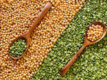 Fasole, semințe de in, linte, naut, mazăre și alte produse agricole. - фото 1