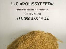 Fodder yeast