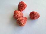 Fructe liofilizate en-gros - фото 14