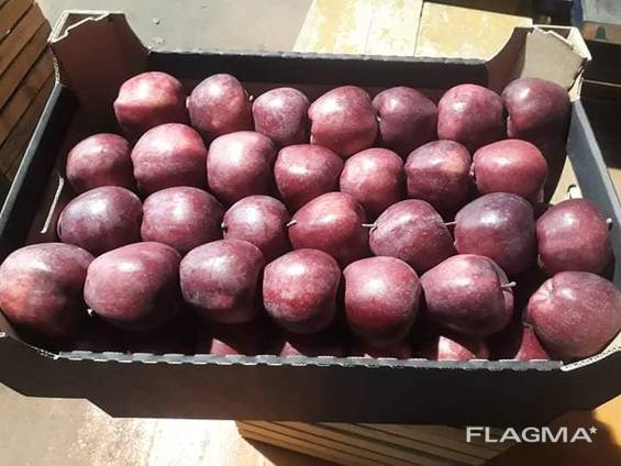 Fresh apples from Denmark