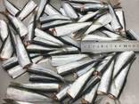 Frozen baltic herring - фото 1
