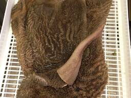 Frozen Beef Green Tripes