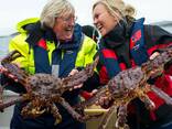 Frozen Whole King Crab and Legs - Norwegian Snow Crab for sale in Europe - фото 7