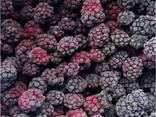 Fructe de pădure și fructe congelate; amestecuri de fructe de pădure și fructe, precum și - фото 1