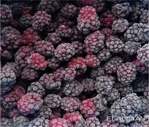 Fructe de pădure și fructe congelate; amestecuri de fructe de pădure și fructe, precum și