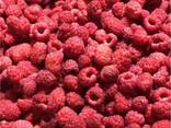 Fructe de pădure și fructe congelate; amestecuri de fructe de pădure și fructe, precum și - фото 5