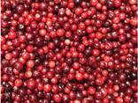 Fructe de pădure și fructe congelate; amestecuri de fructe de pădure și fructe, precum și - фото 6