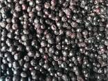 Fructe de pădure și fructe congelate; amestecuri de fructe de pădure și fructe, precum și - фото 8