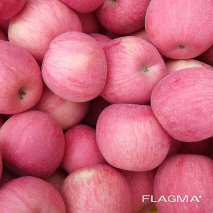 Fuji apple