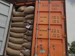 Green Coffee Beans Robusta and Arabica from Vietnam - photo 3