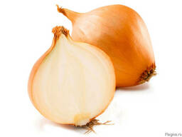 Лук