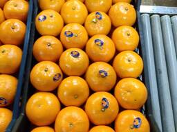 Mandarin