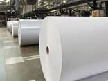 Materii prime pentru producția de hârtie igienică - фото 1