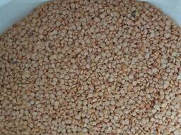 Mazăre de la producător.