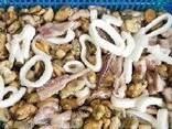 Мороженная рыба и морепродукты в Румынию от производителя из КНР - photo 10