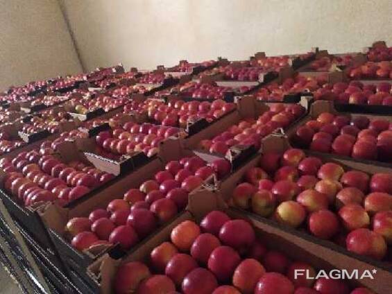 O gamă largă de mere (fabricate în Polonia)