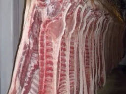 Pork