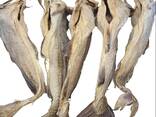Premium Quality Dried Bombay Duck Fish / Dried Cod Fish Tosk Cod Fish - photo 1