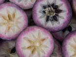 Purple Star Apple from Vietnam - photo 3