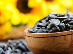 Seminte de floarea soarelui