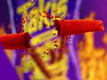Takis - photo 10