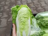 Varză chinezească (produsă în Polonia) - фото 2