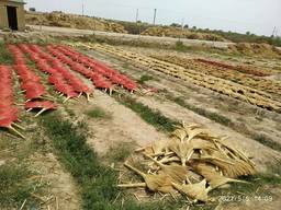 Веники согро оптом от производителя