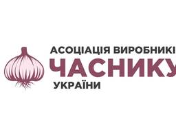 We offer the sale of garlic for export.