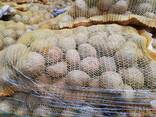 Wholesale potatoes from Poland - photo 3