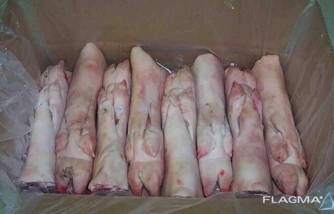 Wholesale Premium Quality Frozen Pork Meat / Pork Hind Leg / Pork feet available Frozen po