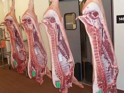 Wholesale supply of frozen pork from spain