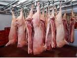 Wholesale supply of frozen pork from spain - photo 2