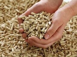 Wood pellets for heating and fuel